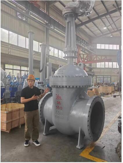 行走閥門(mén)江湖數(shù)十載！挺宇流體智能化新工廠預(yù)計(jì)2026年10月投入使用，開(kāi)啟文化傳播新篇章